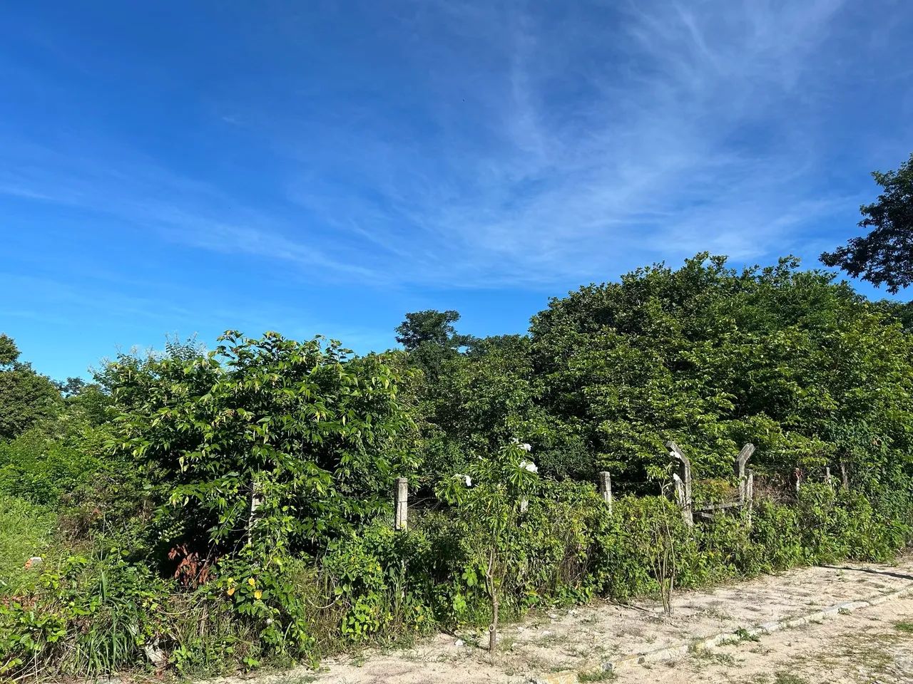TERRENO para alugar na cidade de EUSEBIO-CE - Foto 5