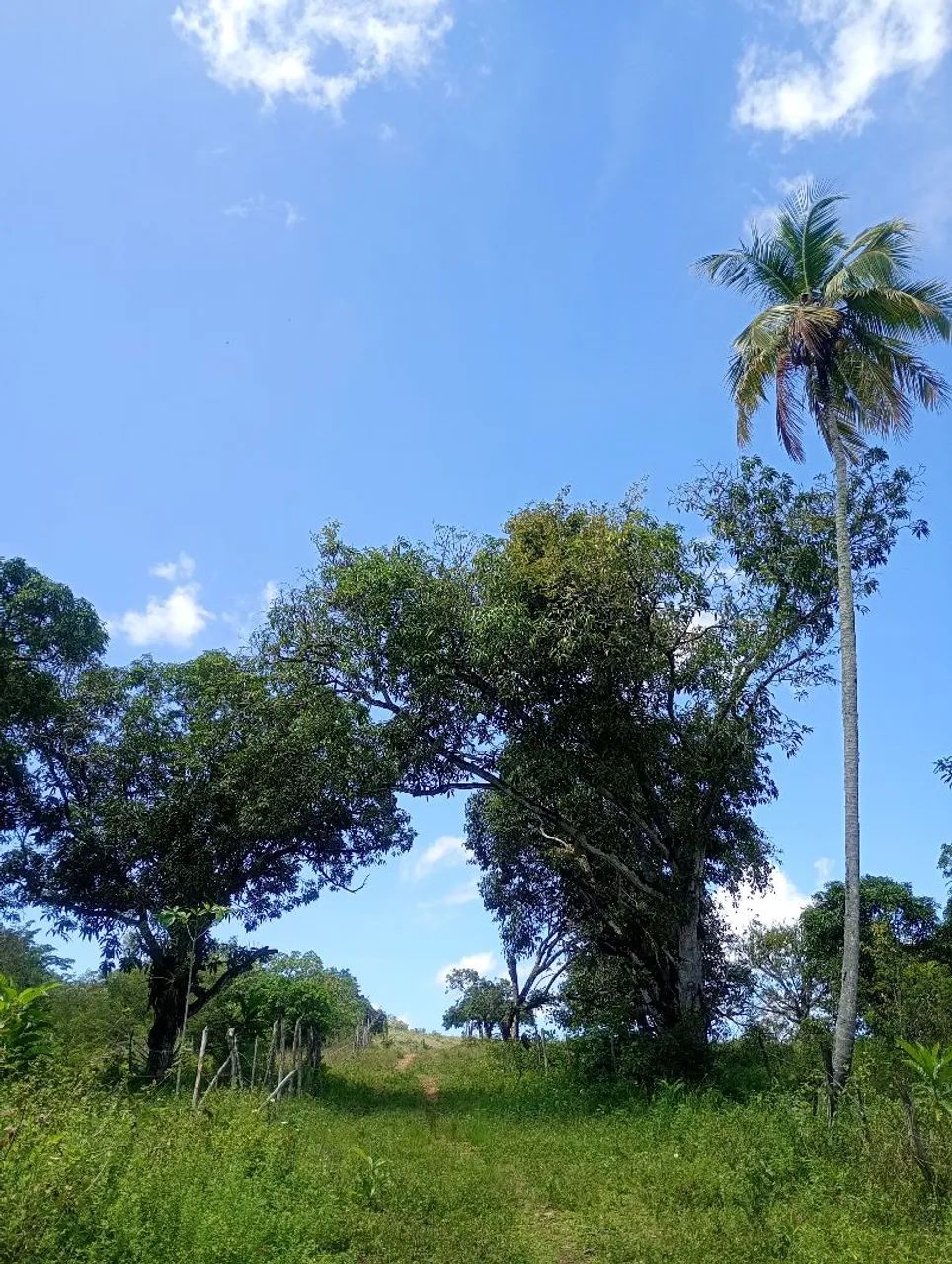 Chácara Parque Santa Rita  - Foto 3