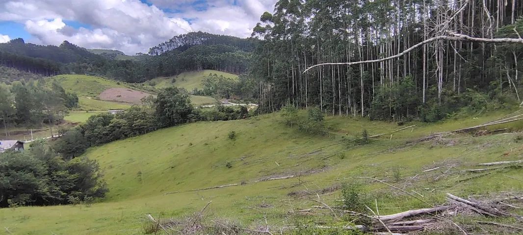 LINDA TERRENO PARA CHACARA 2 HECTARES EM ANITAPOLIS! ESCRITURADA E REGISTRADA. - Foto 5