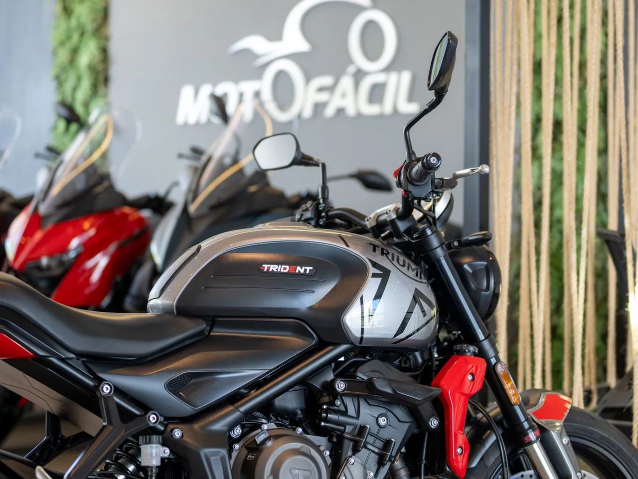 TRIUMPH TRIDENT 660 2024 - Foto 5
