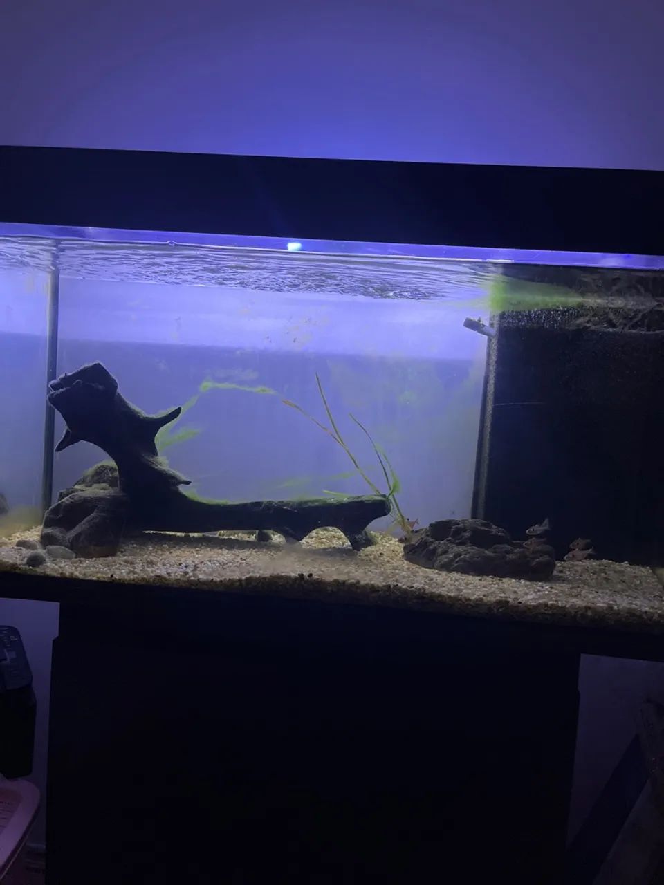 Aquário 200L (100cm largura)