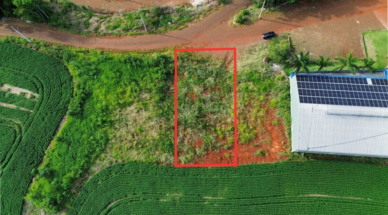 Lote Alagado Nova Prata do Iguaçu  - Foto 3