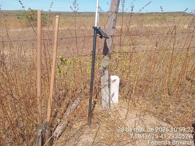 Fazenda plana próximo a Picos - Foto 4