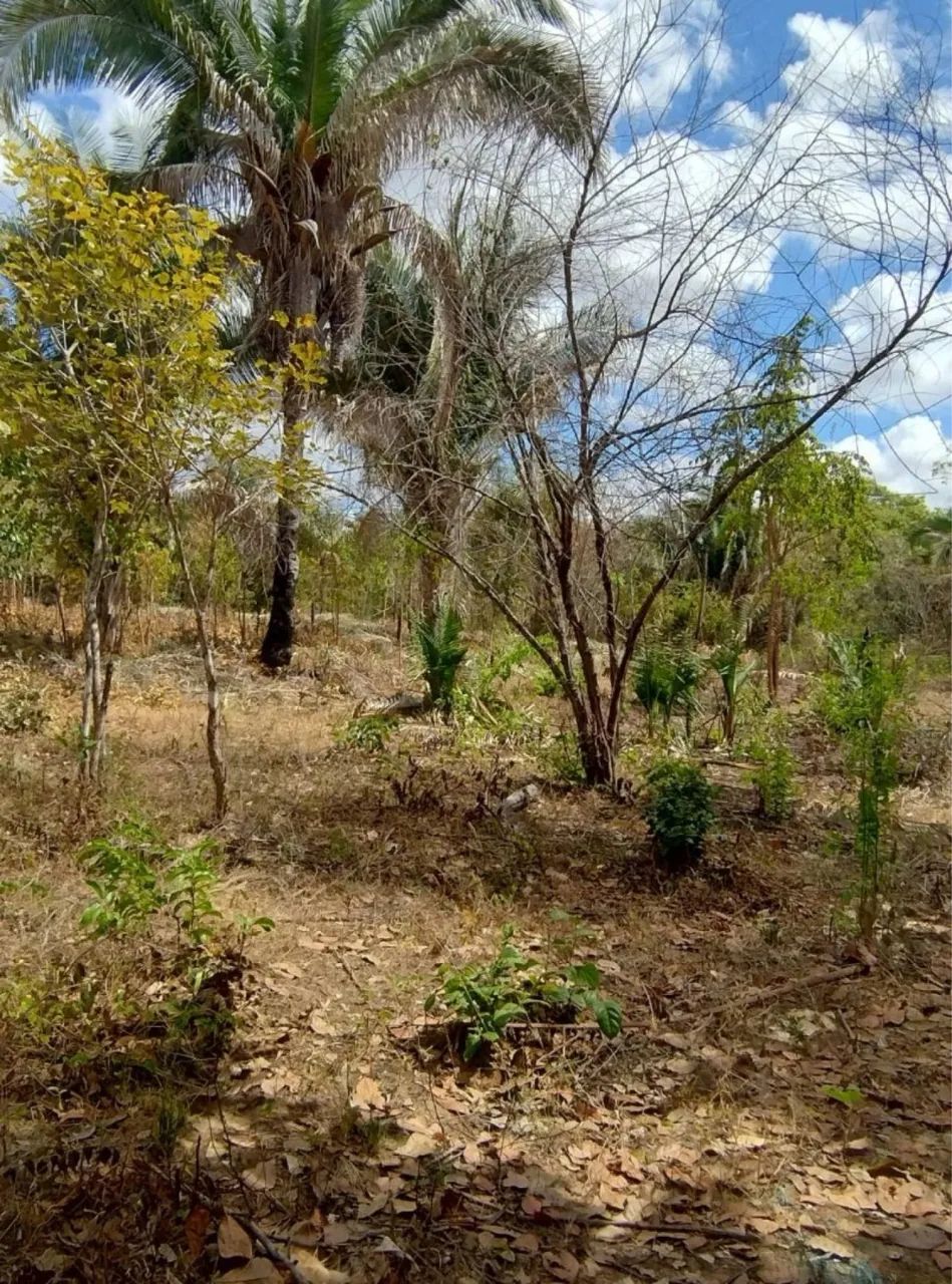 Terreno comunidade Glória em Timon