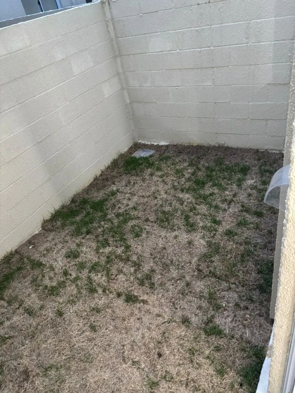 Apartamento dois quartos com quintal  - Foto 3