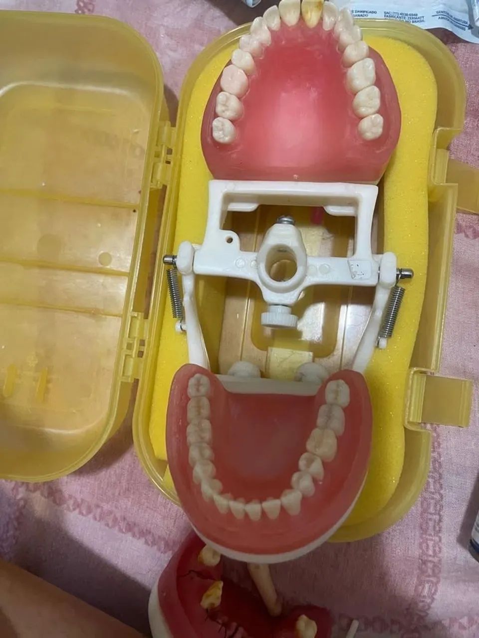Manequim de Dentística  - Foto 2
