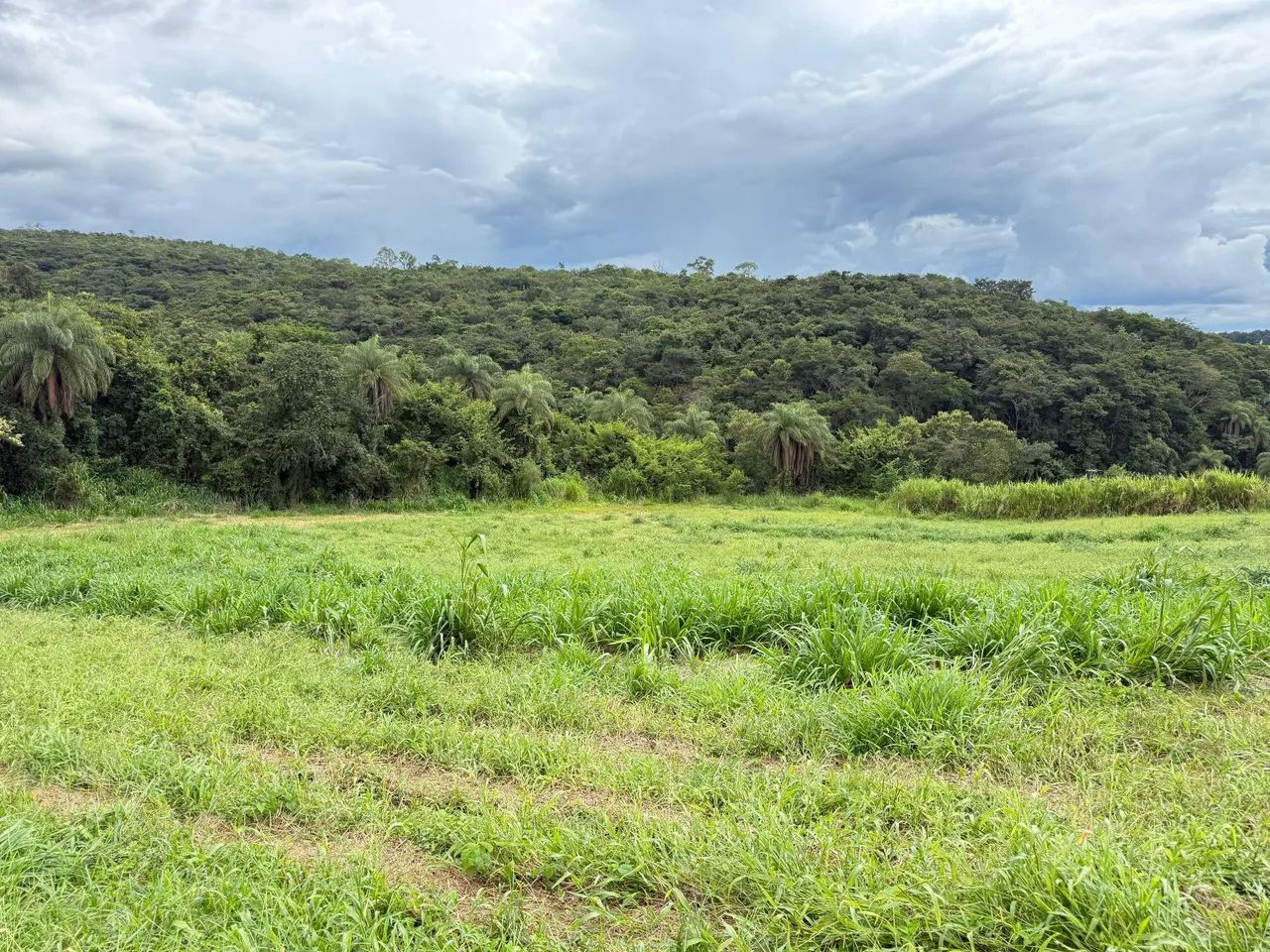 Terreno rural de 20  mil metros  - Foto 5