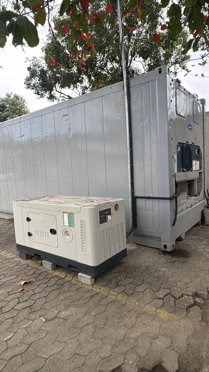 Container Reefer Carrier 40 Pés - Venda ou Locação - Foto 4