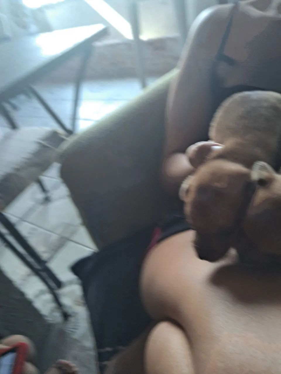Vendo pinches  - Foto 2