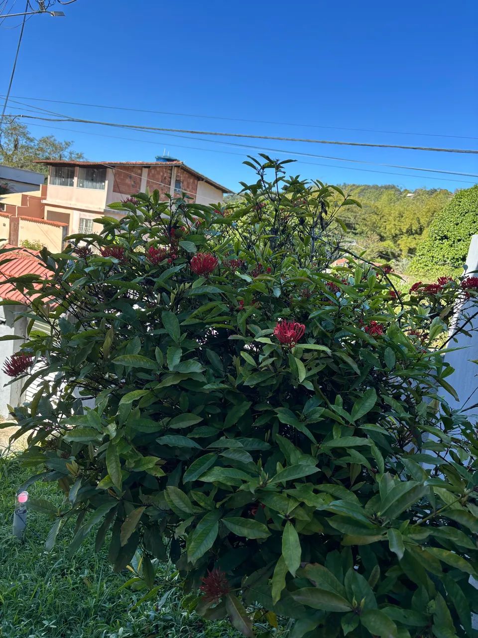 Casa 4 quartos em Matapaca - Foto 4