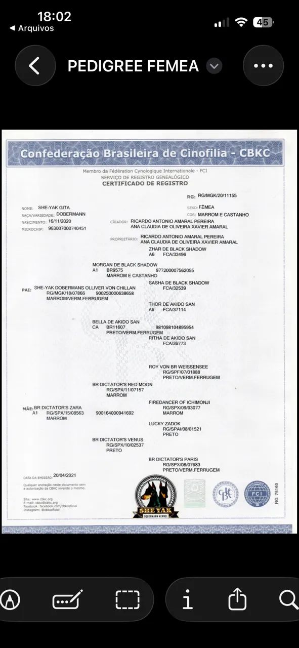 VENDA DE FILHOTES DE DOBERMAN - Foto 2