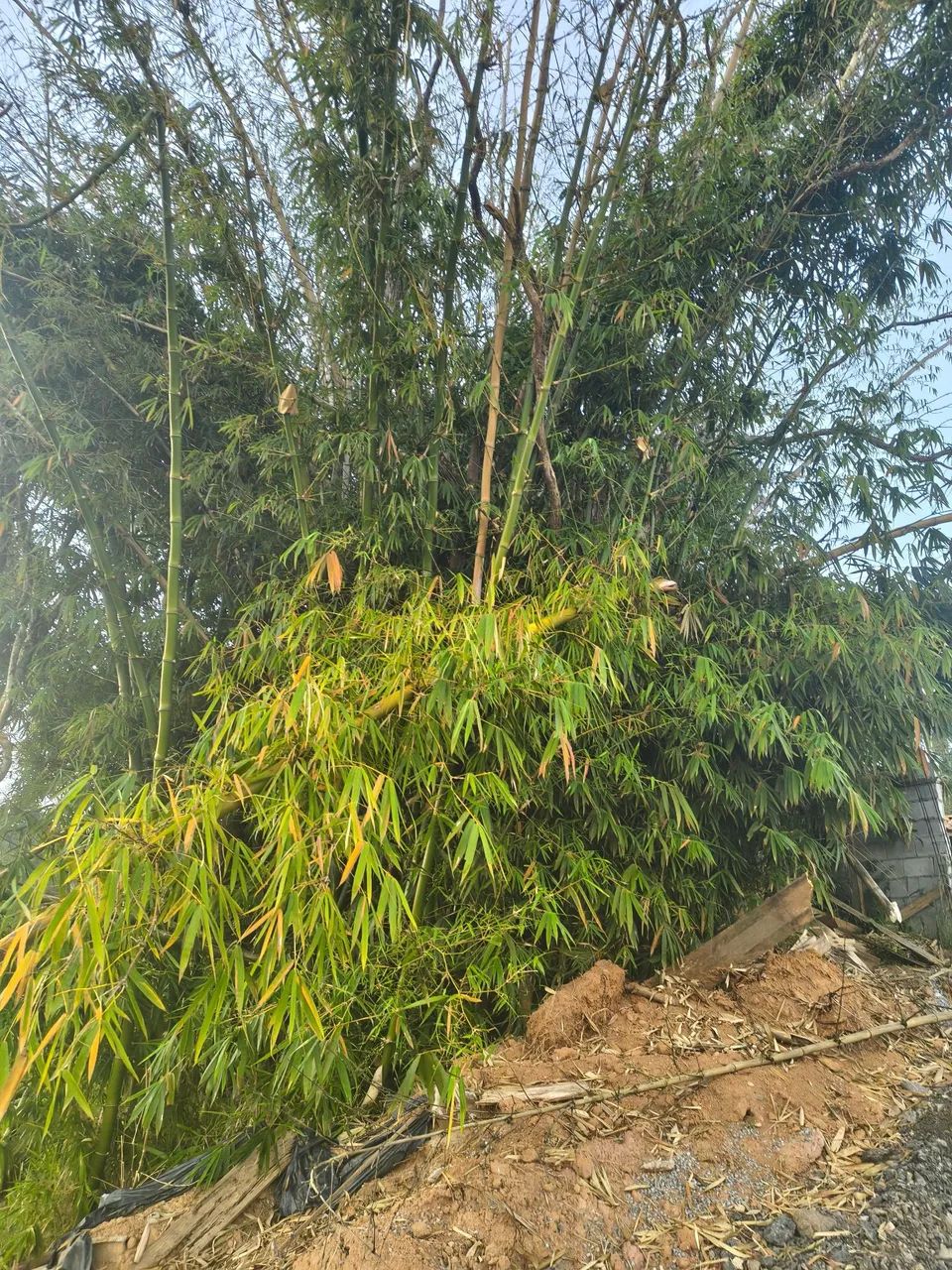 Vende-se terreno Itapecerica da Serra 