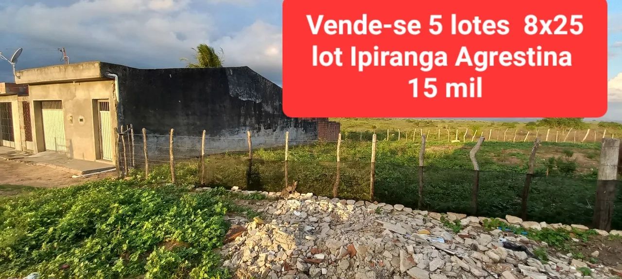 Vende-se terreno na BR em Agrestina  - Foto 3