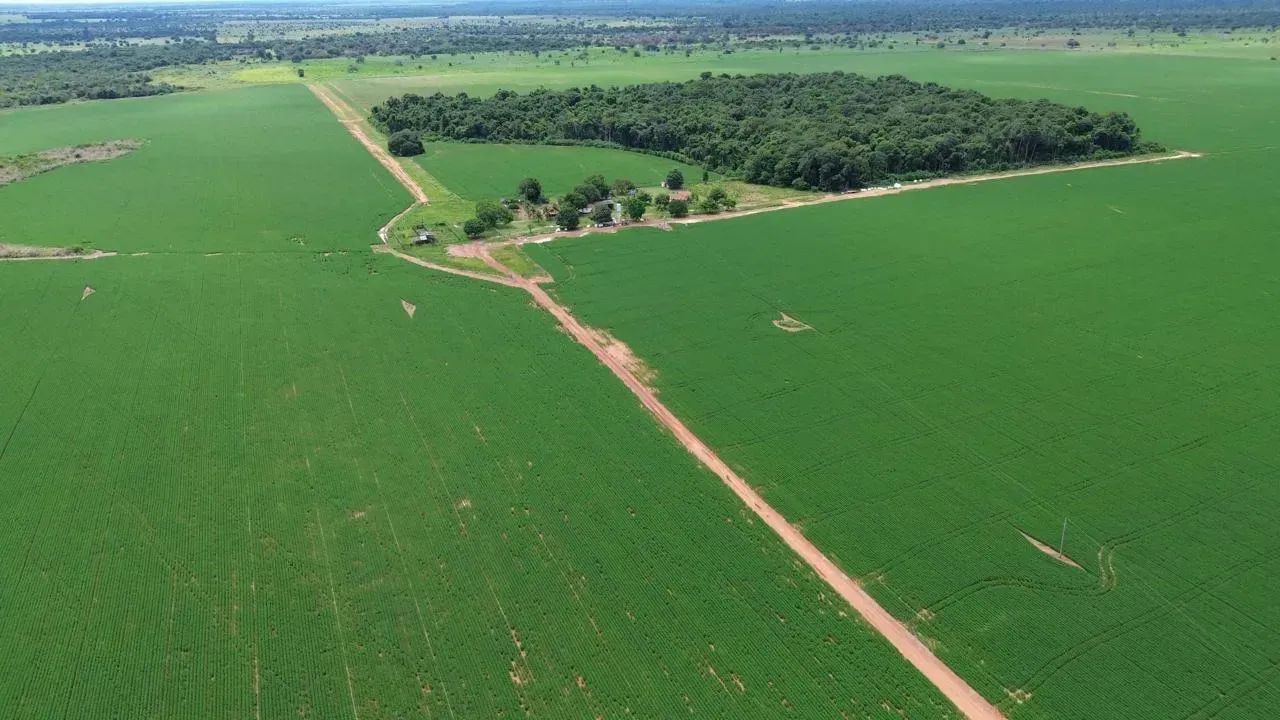 Fazenda a venda, em Nova Crixas - Goias! - Foto 3