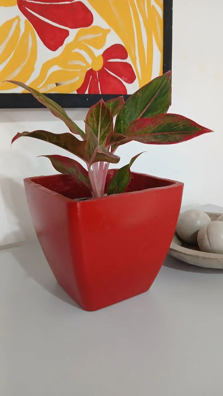 Vaso Quadrangular de Concreto - Foto 4
