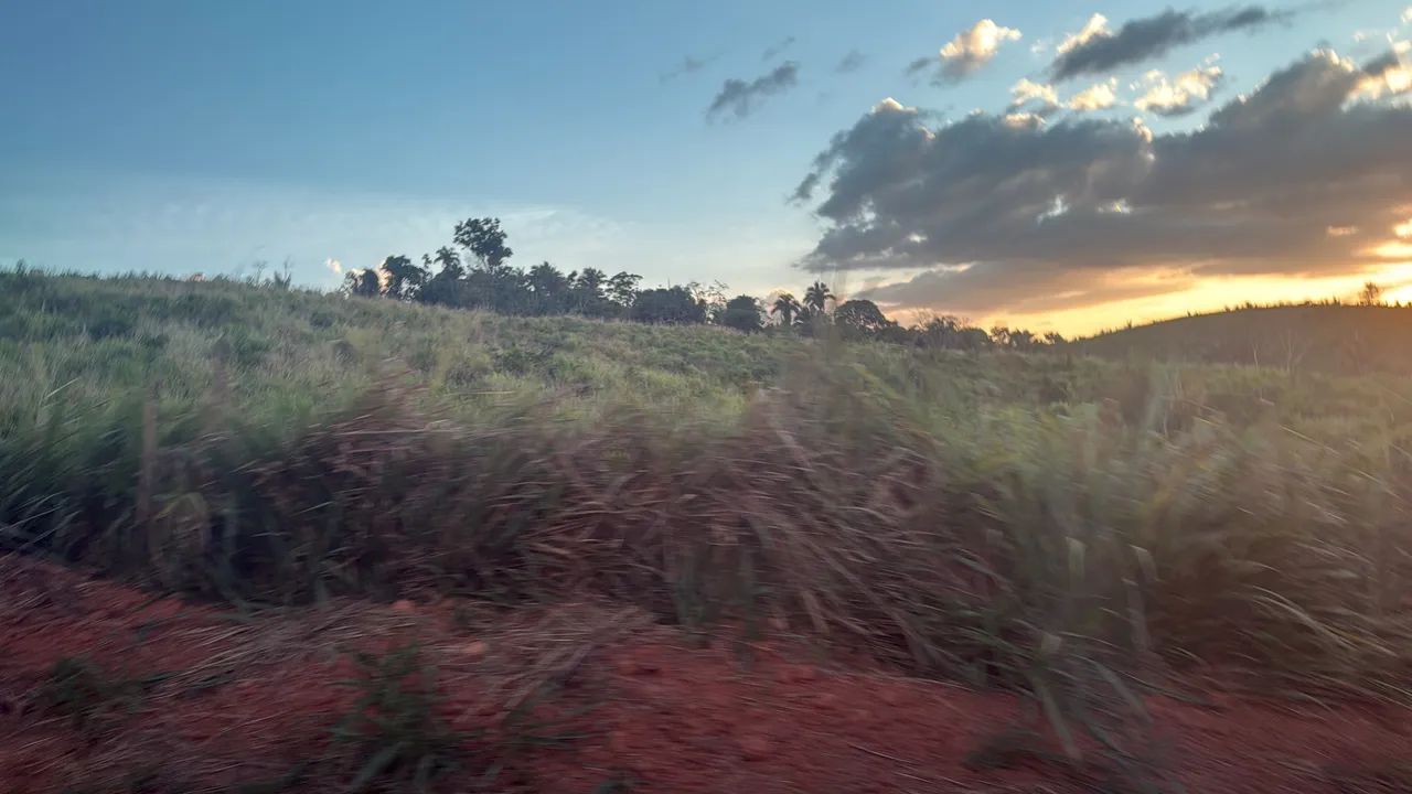 Fazenda 43 alqueire 