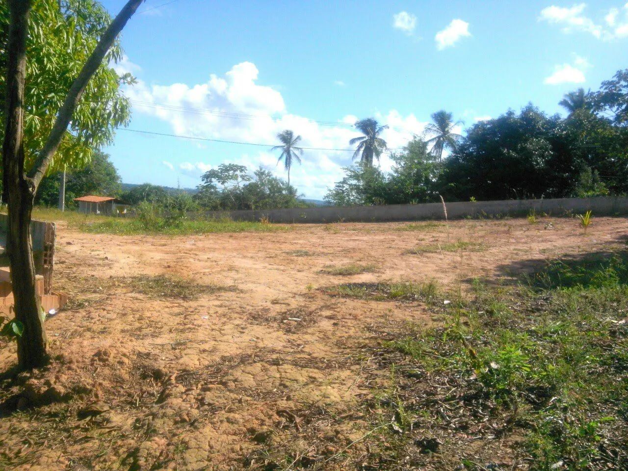 Oportunidade  - Foto 3