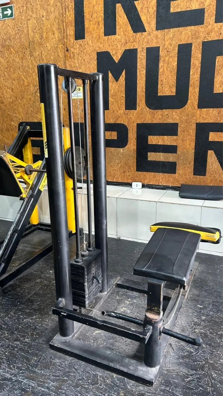 Mesa flexora