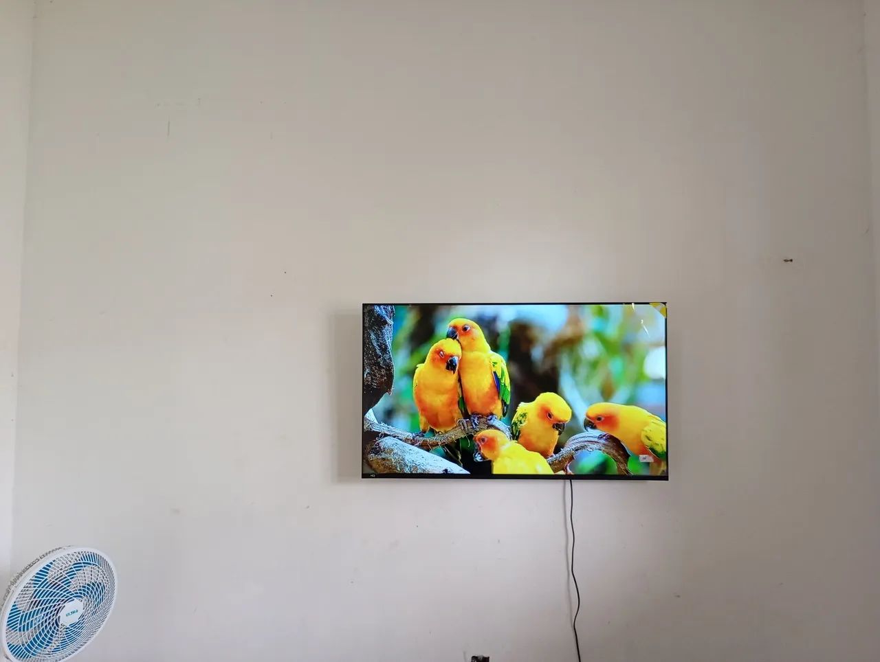 Tv smart 4k HQ Android 50 polegadas tá com película de proteção na tela zerada! - Foto 4