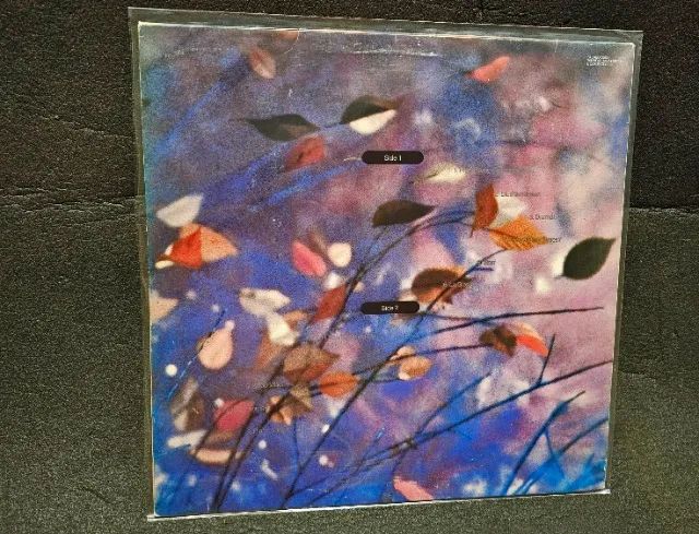 Disco de vinil (LP) Erasure - Wild! - Foto 5