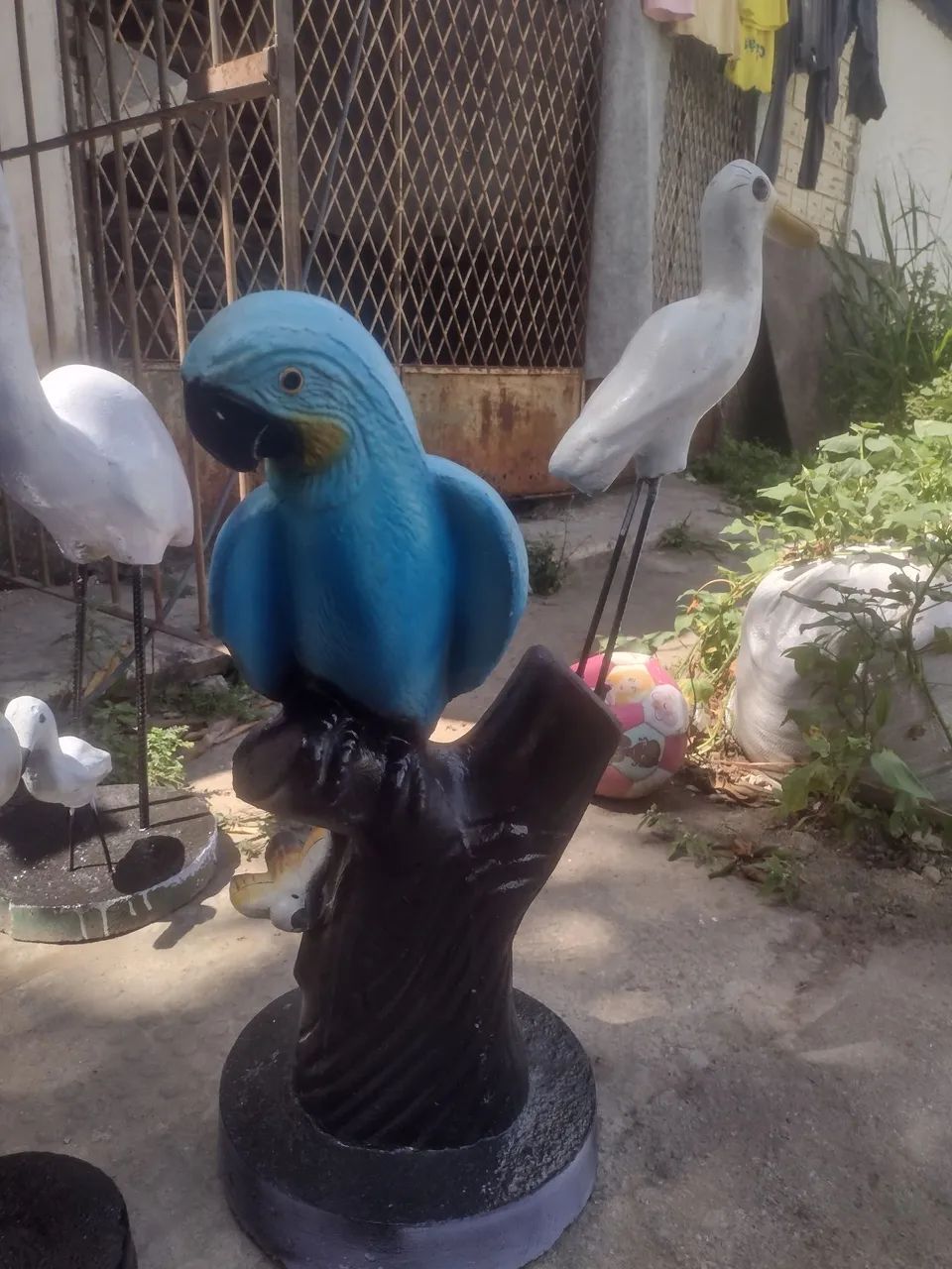 jardim  - Foto 2