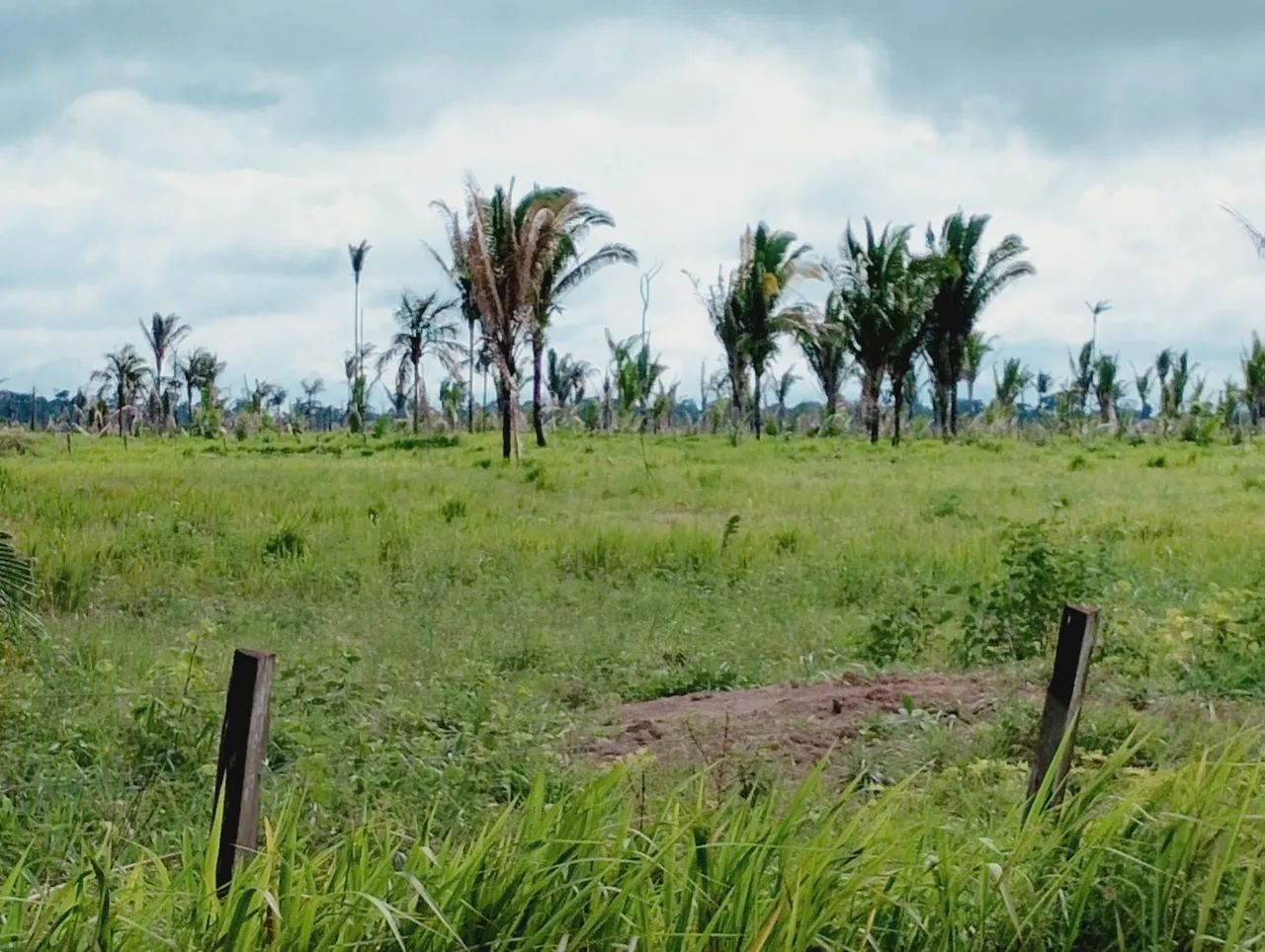 300 hectares 