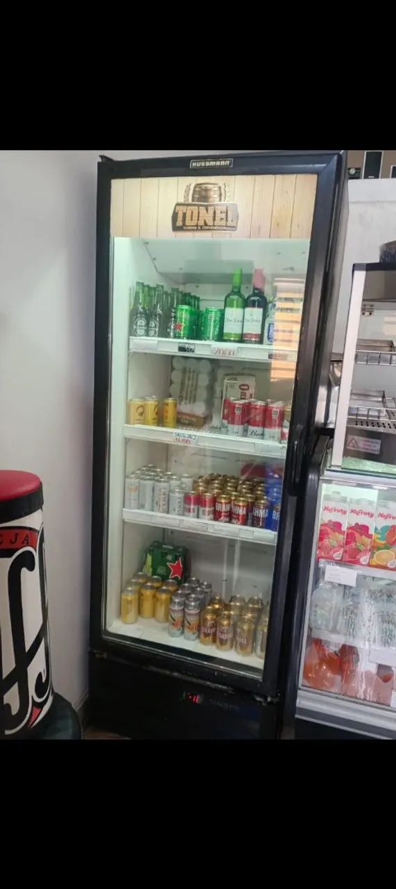Cervejeira Hussman 220 wts
