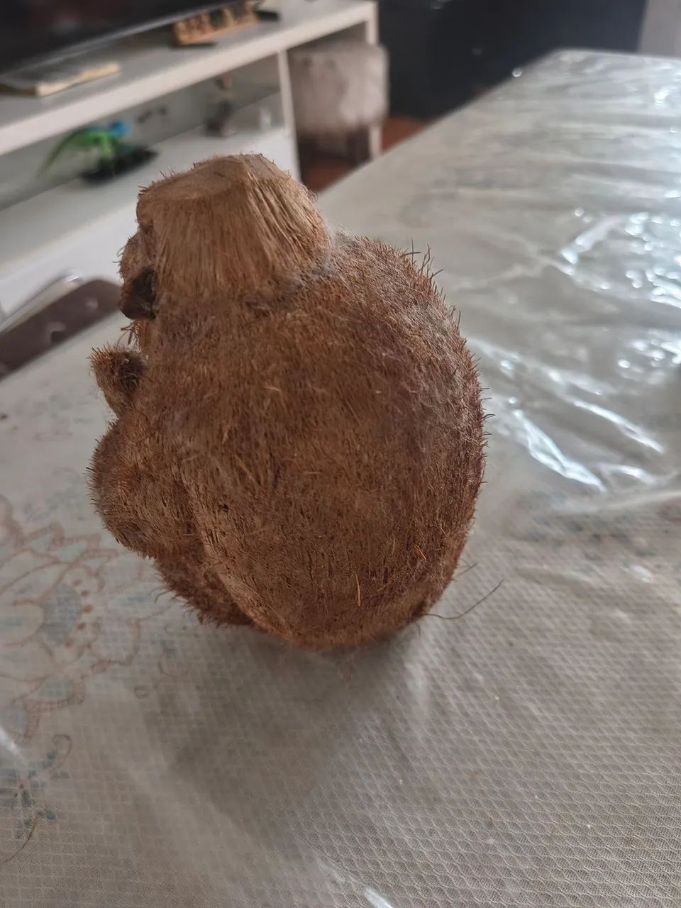 Macaco de coco - Foto 2