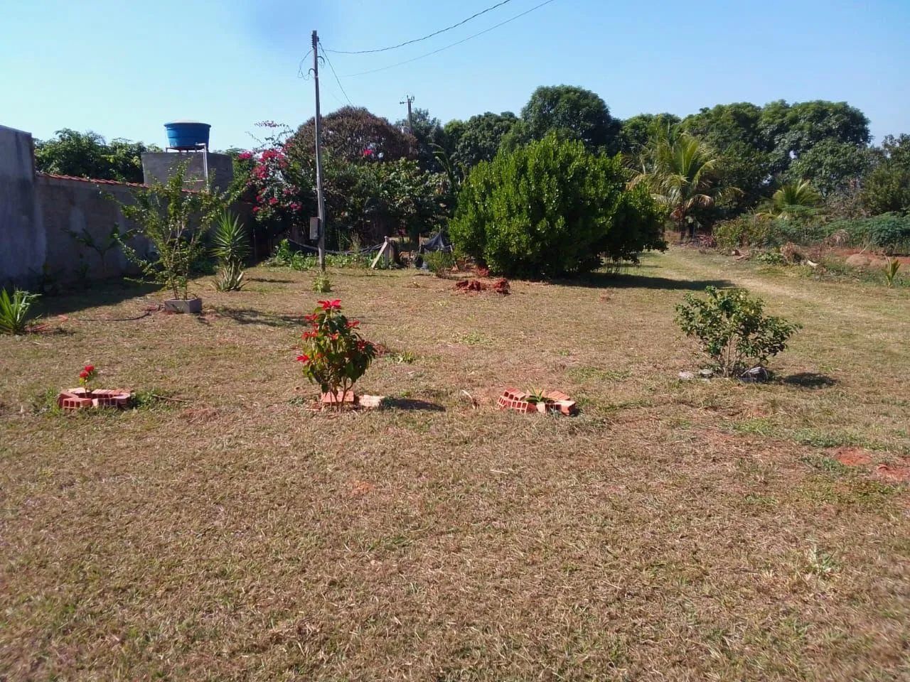 Vendo chácara na cidade de pereiras sp - Foto 3