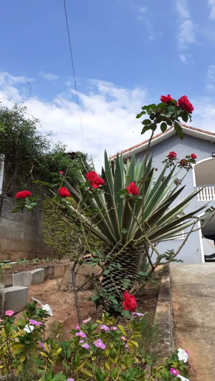 Chácara à venda em Paraibuna/SP - Foto 2