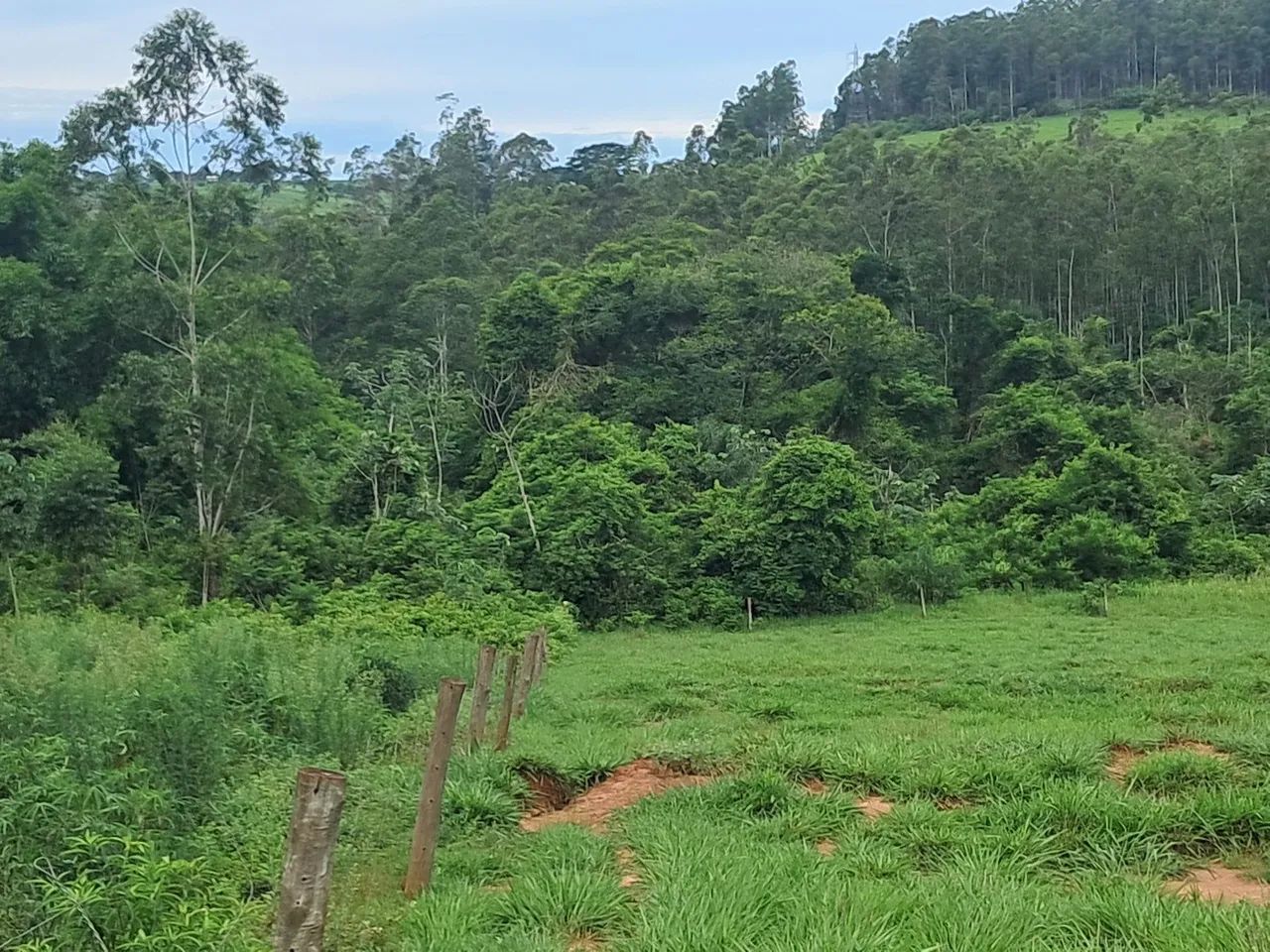 Sítio 2,225 alqueires Altônia PR  - Foto 2