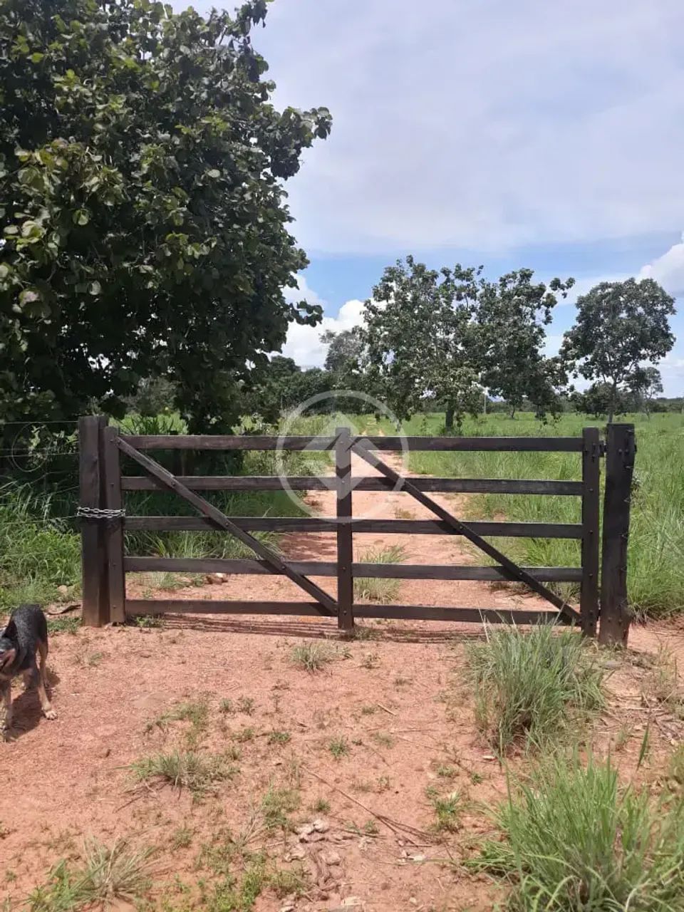 FAZENDA EM SÃO SALVADOR NO TOCANTINS codigo: 153009 - Foto 2