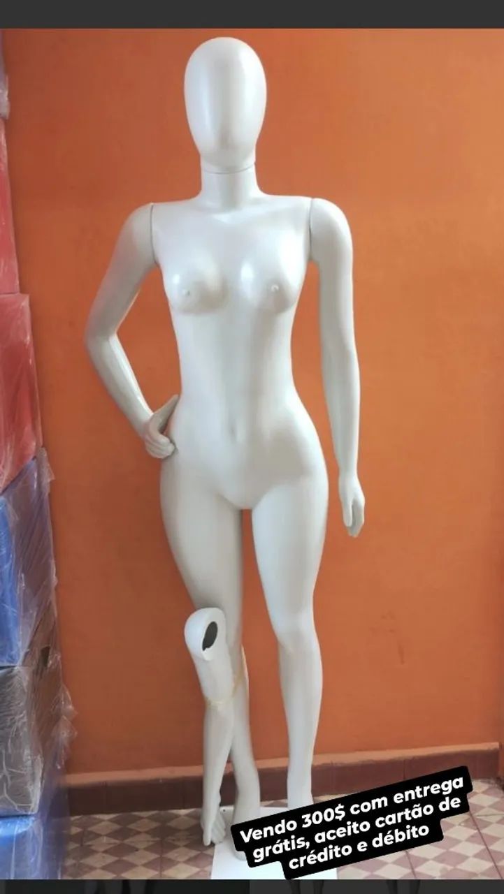 Manequim feminino completo 