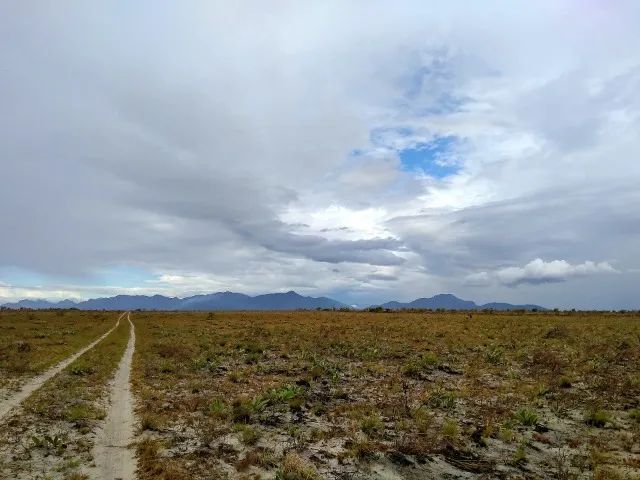 Fazenda para soja