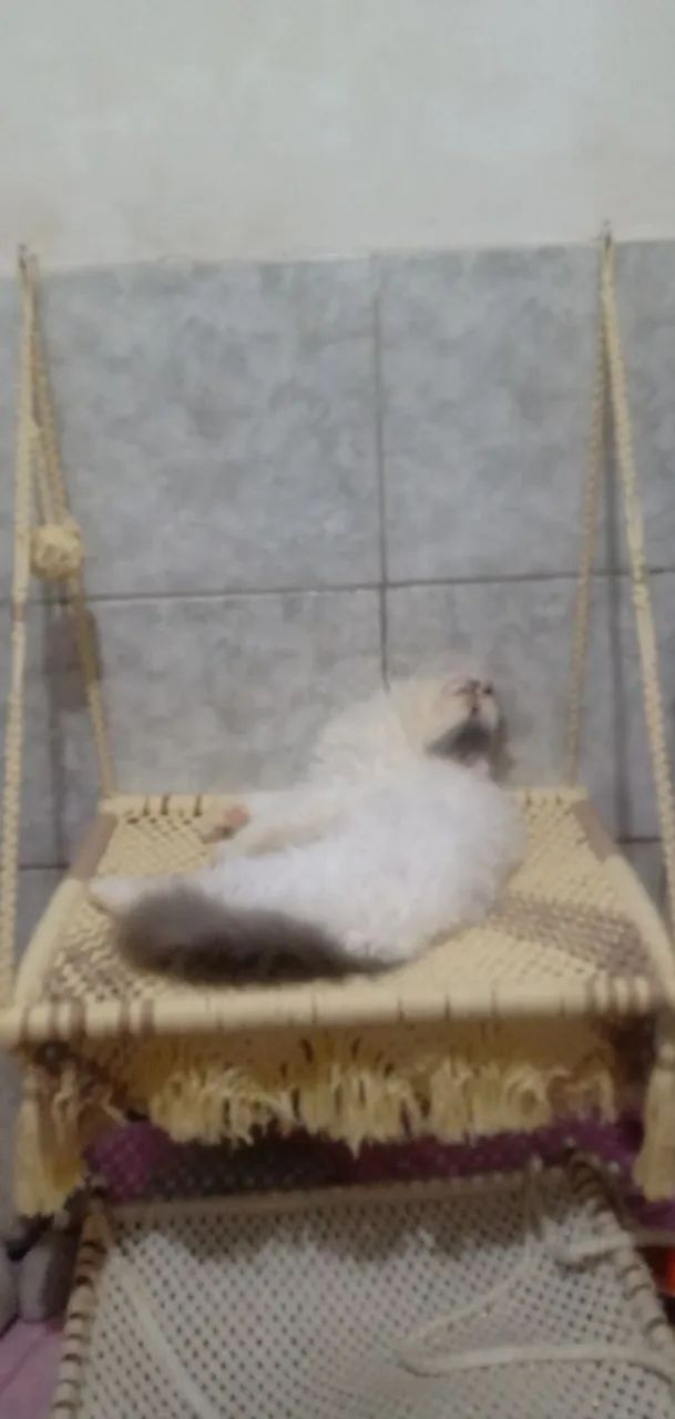 Cama macramé suspensa pra gatos - Foto 2