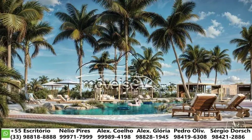 Lote - America Garden
