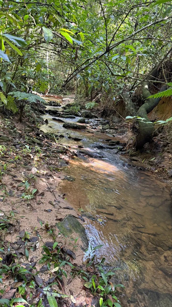 Chacara de 5.100mt com córrego no fundo e muita natureza! - Foto 2