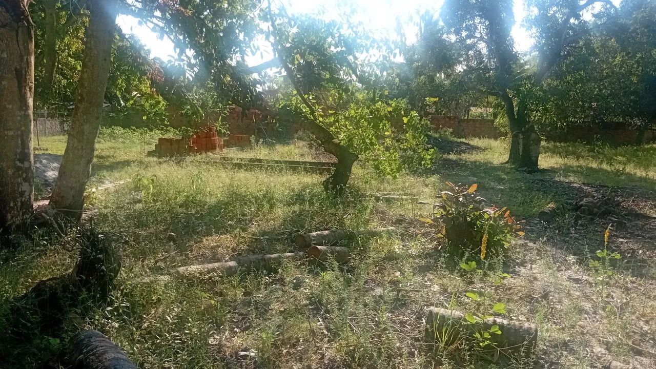 Terrenos