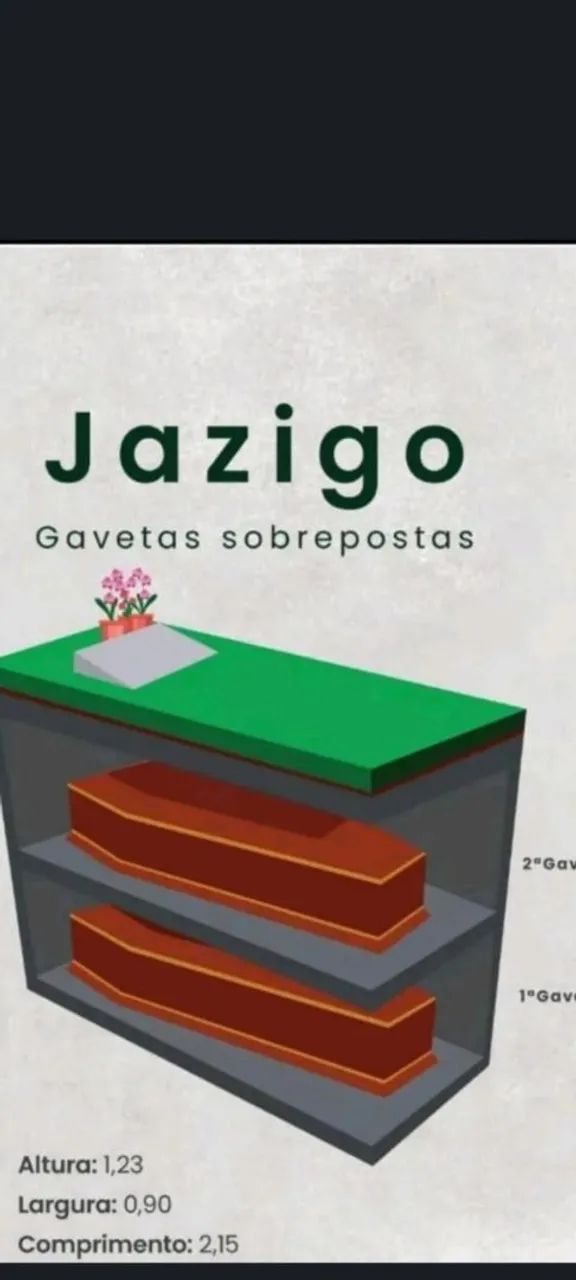 Jazigo - Foto 4