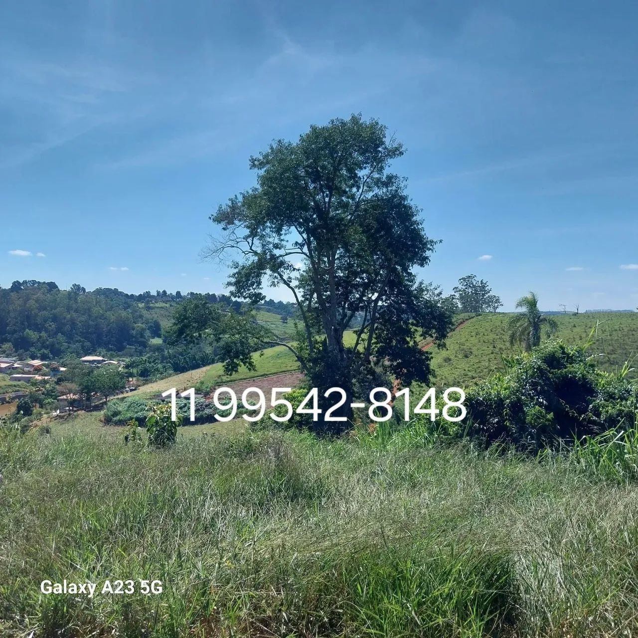 Terreno em Santa Isabel 1000m² - Sítio, Chácara, Casa - Foto 3