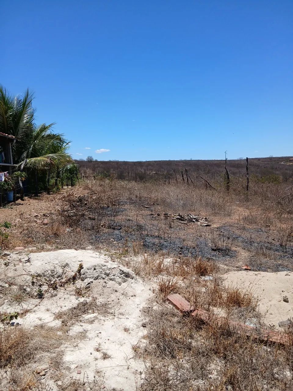 Terreno 