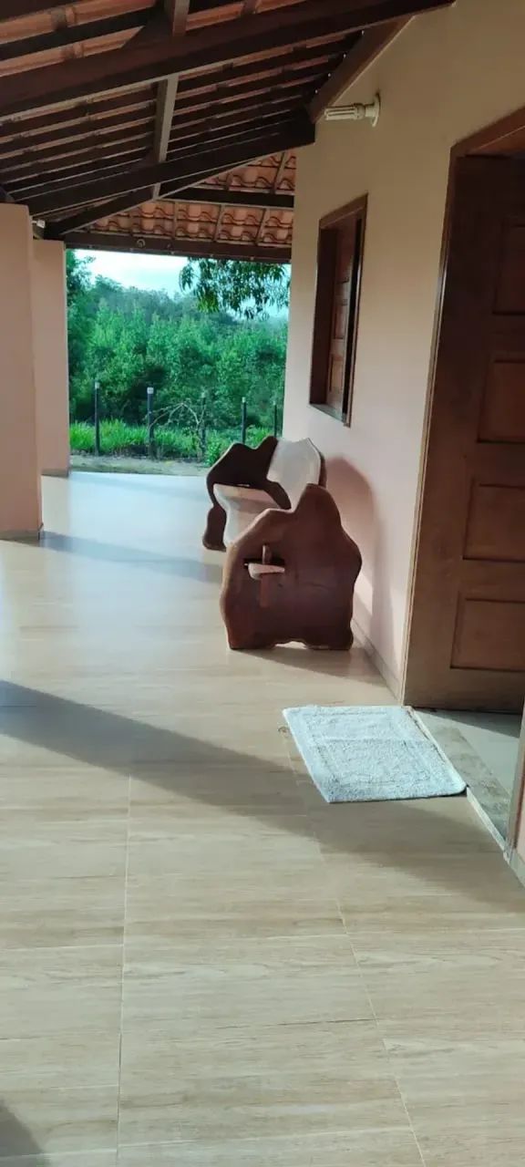 VENDO FAZENDA COM EUCALIPTOS - Foto 4
