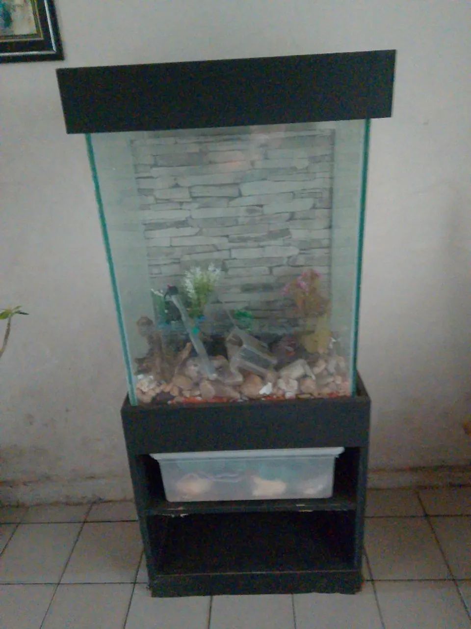 Aquário Completo 