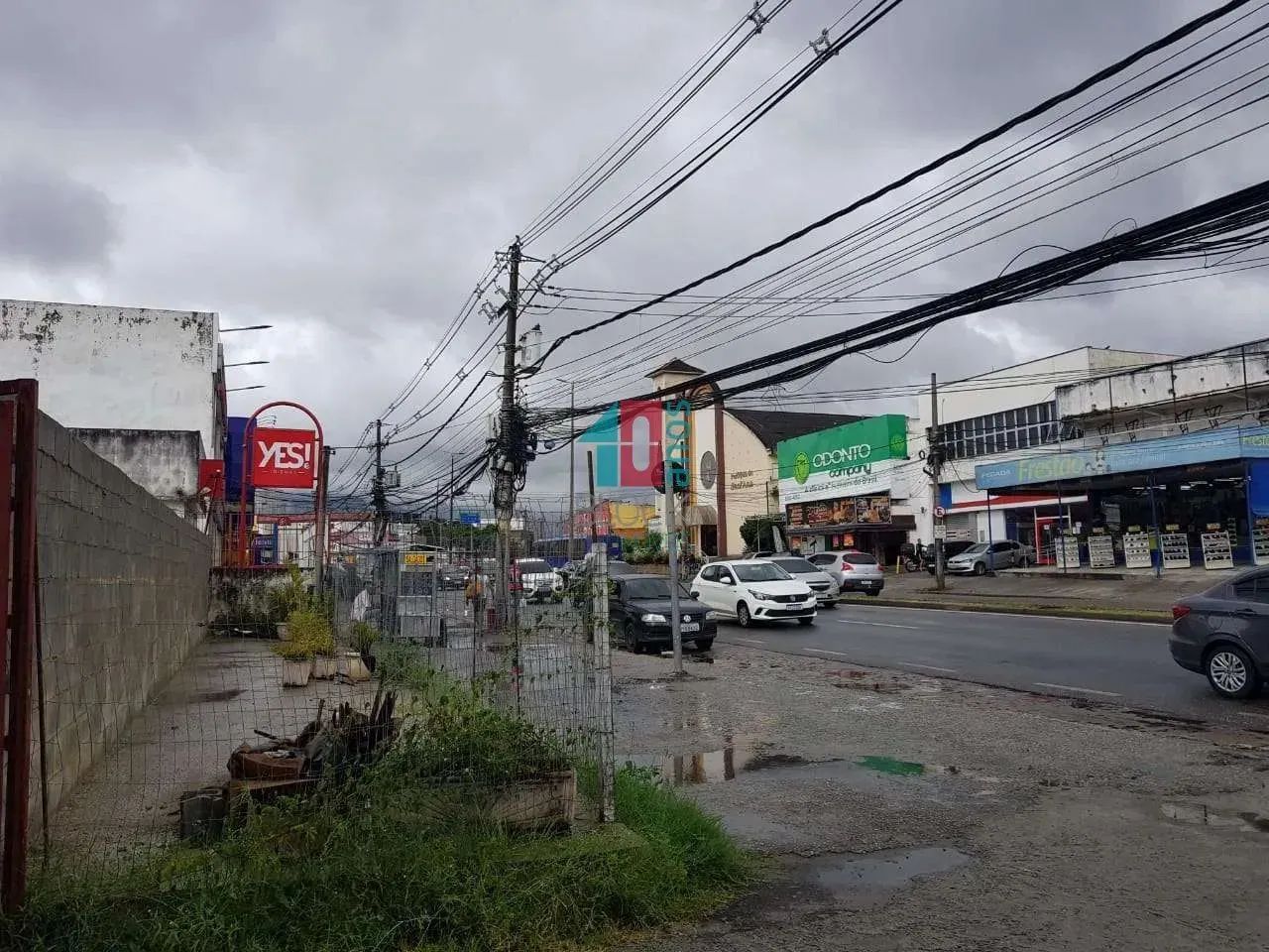 Campo Grande | Terreno - Foto 12