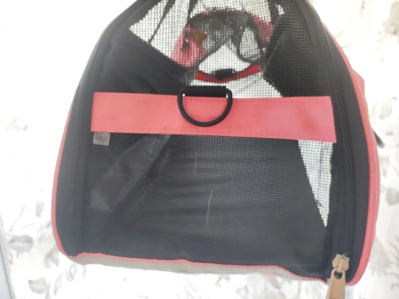 Bolsa para pet