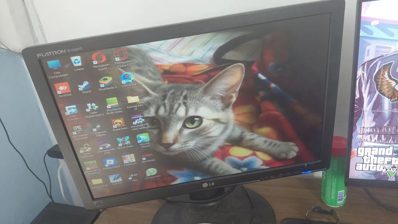 Monitor LG 19"
