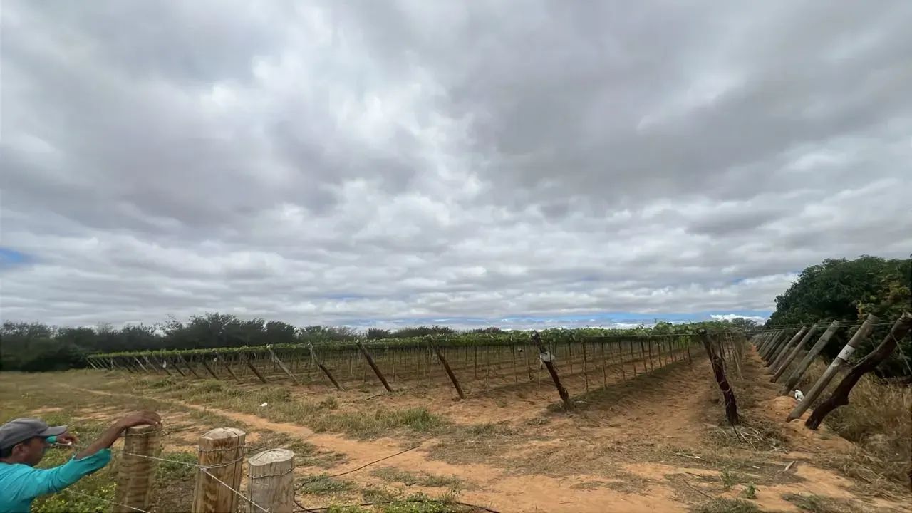 LOTE RURAL À VENDA!