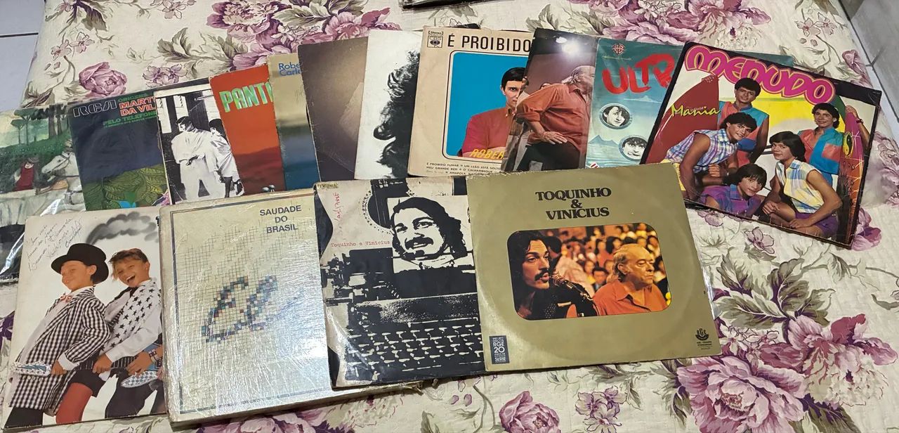 Lote 15 vinil Lps nacionais diversos