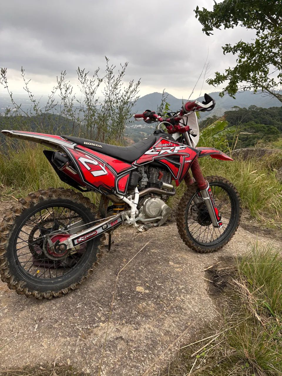 Crf 230  - Foto 3