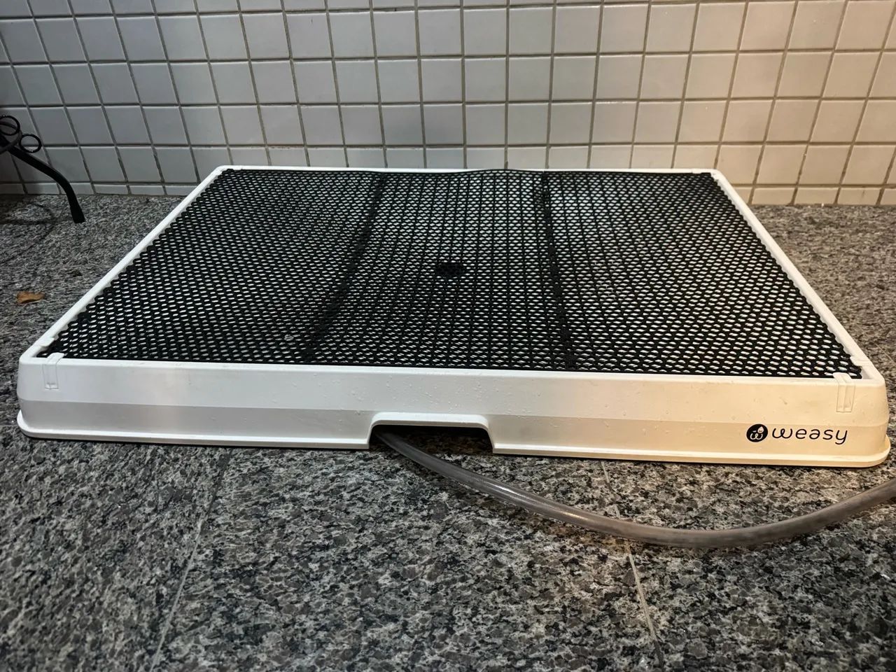 Weasy cão G - Foto 3